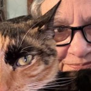 Profile photo of kc